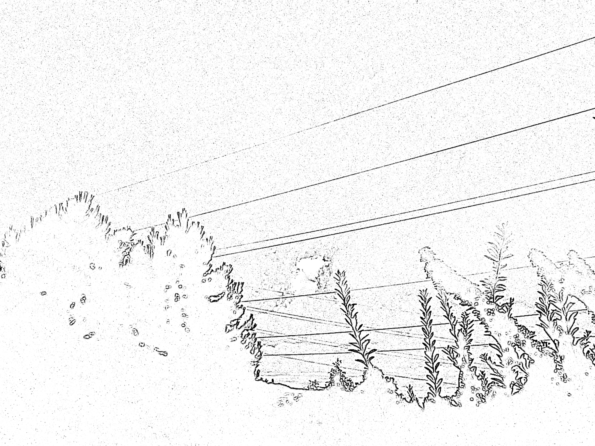 Online-Beratung: Diskret und effektiv